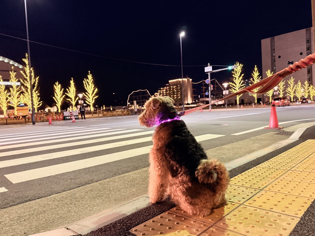 大晦日のアクシデント